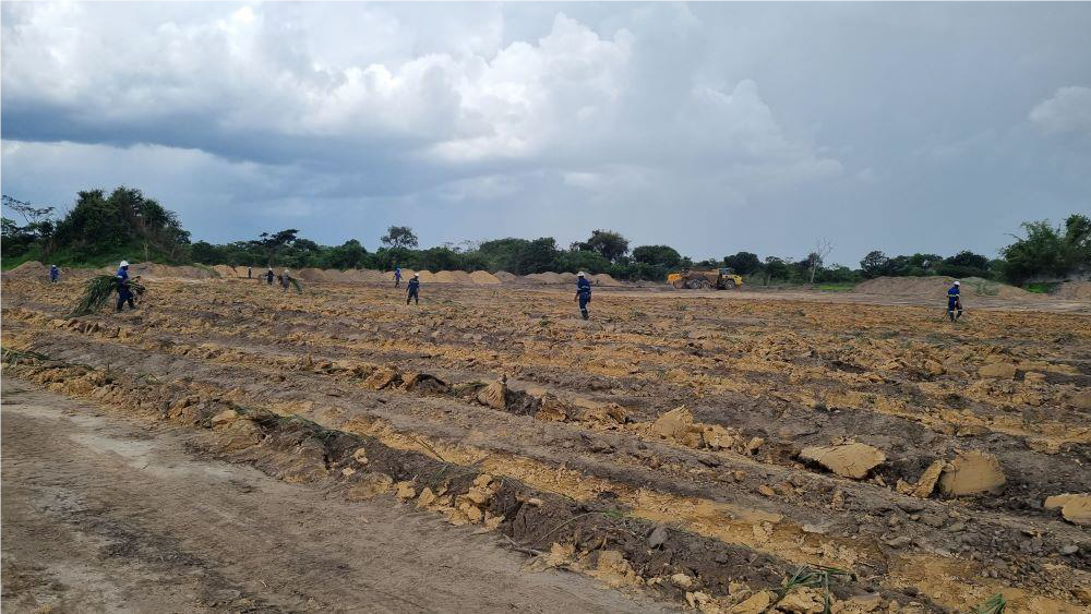 wetland construction..png
