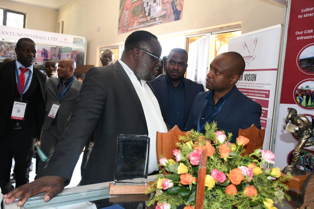 Cover Picture Caminex.JPG